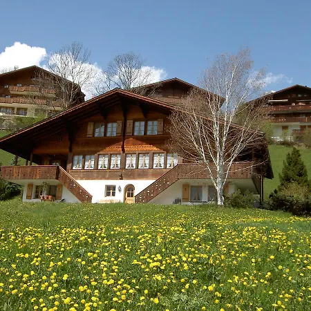 Unter Dem Stein * Grindelwald
