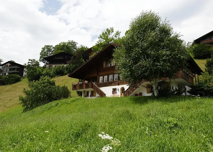 Unter Dem Stein Apartamento Grindelwald